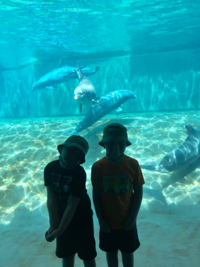 Nolan and Brother at Sea World