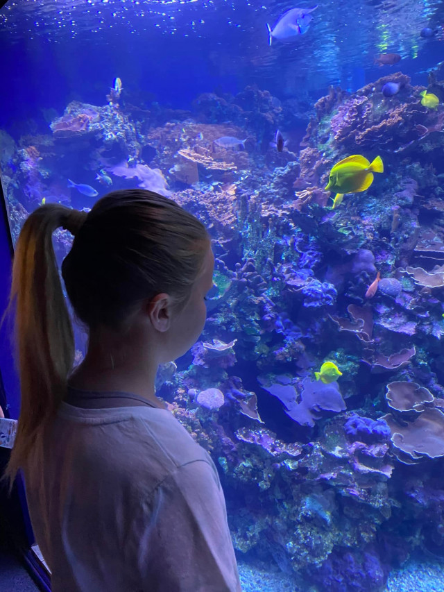 Peyton at Maui Ocean Center