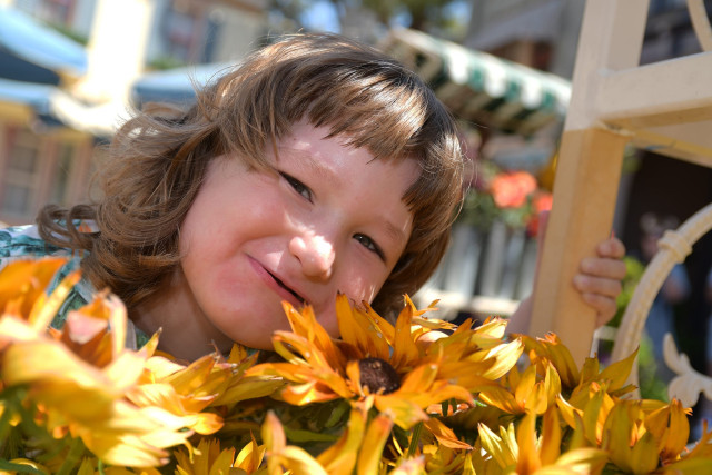 Kyler w Sunflowers