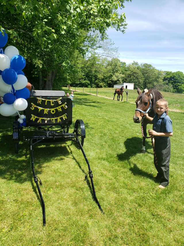 Nathan and Pony by cart 1