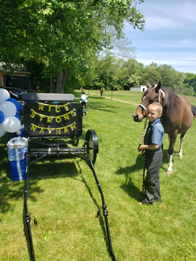 Nathan and Pony by cart 2