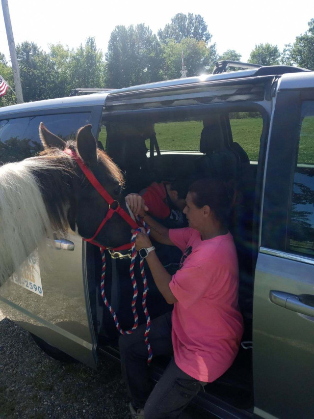 Mom with Horse