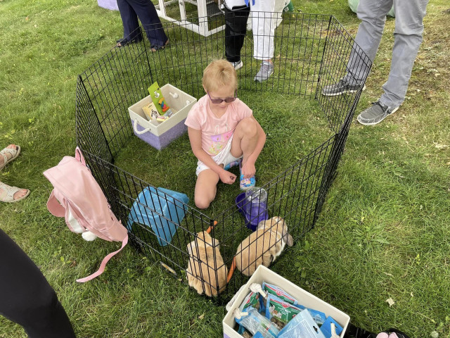 Hallie looking at bunnies