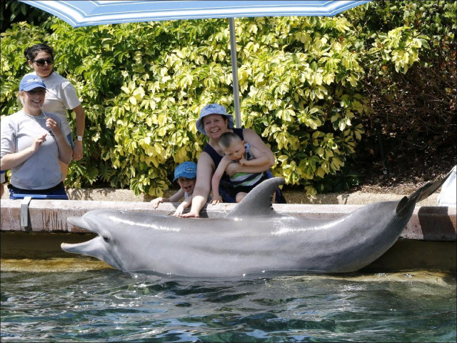 Garret and Family with Dolphin at Sea World 2