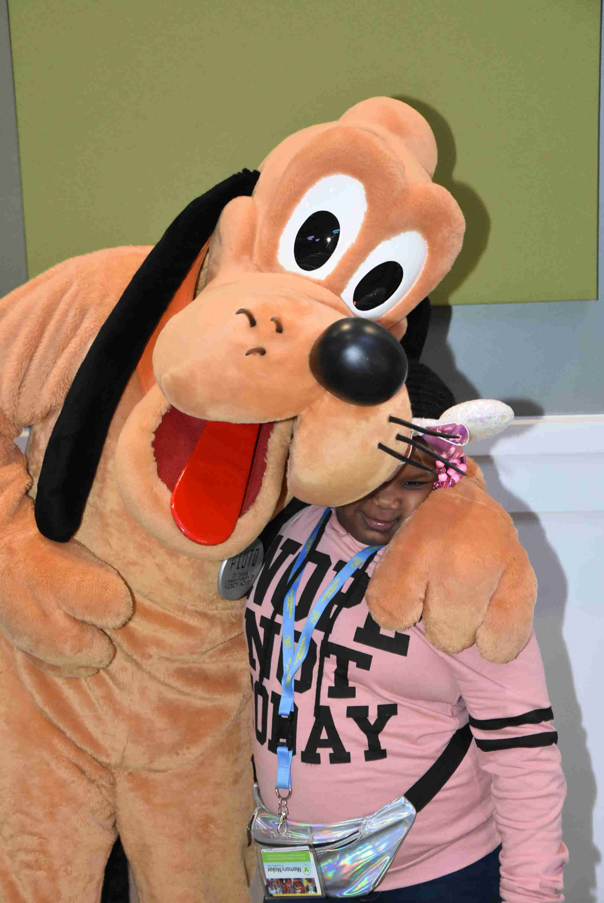 626642 Goofy and Pluto DSC 0277 12 27 2018
