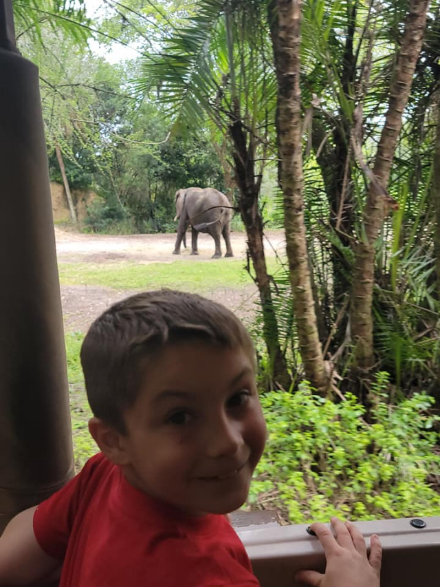 Karson Animal Kingdom