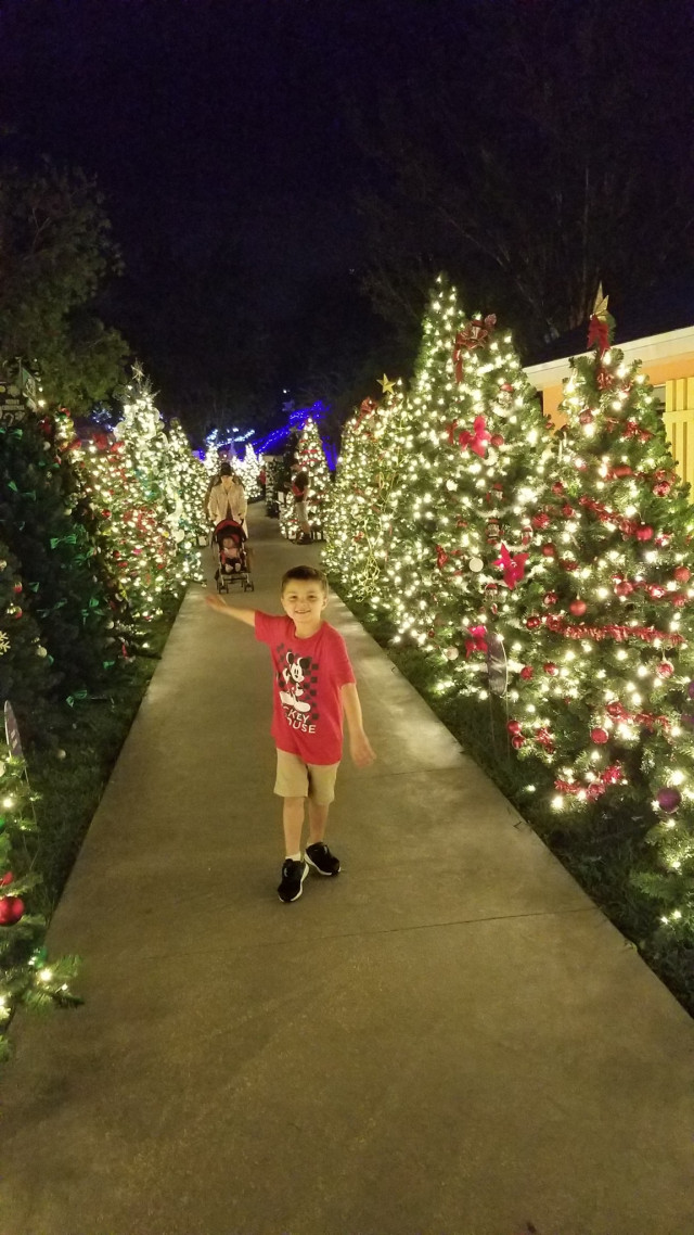 Karson by Xmas trees at GKTW