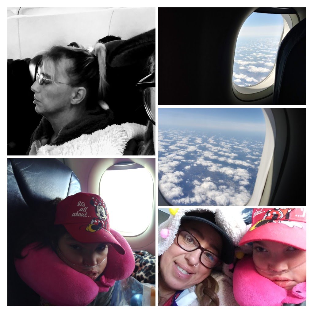 20191112 070032 COLLAGE