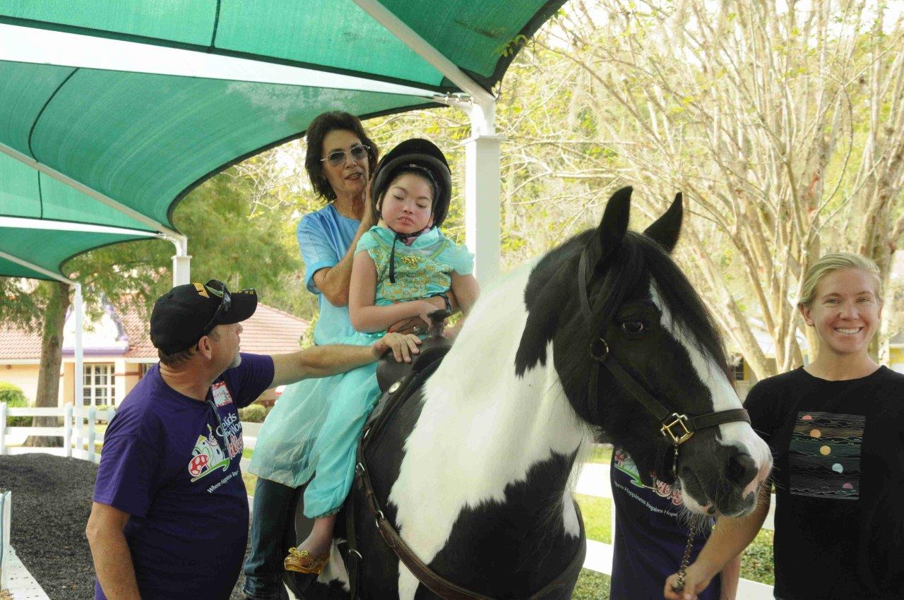 635568 Horses DSC 0374 11 06 2019